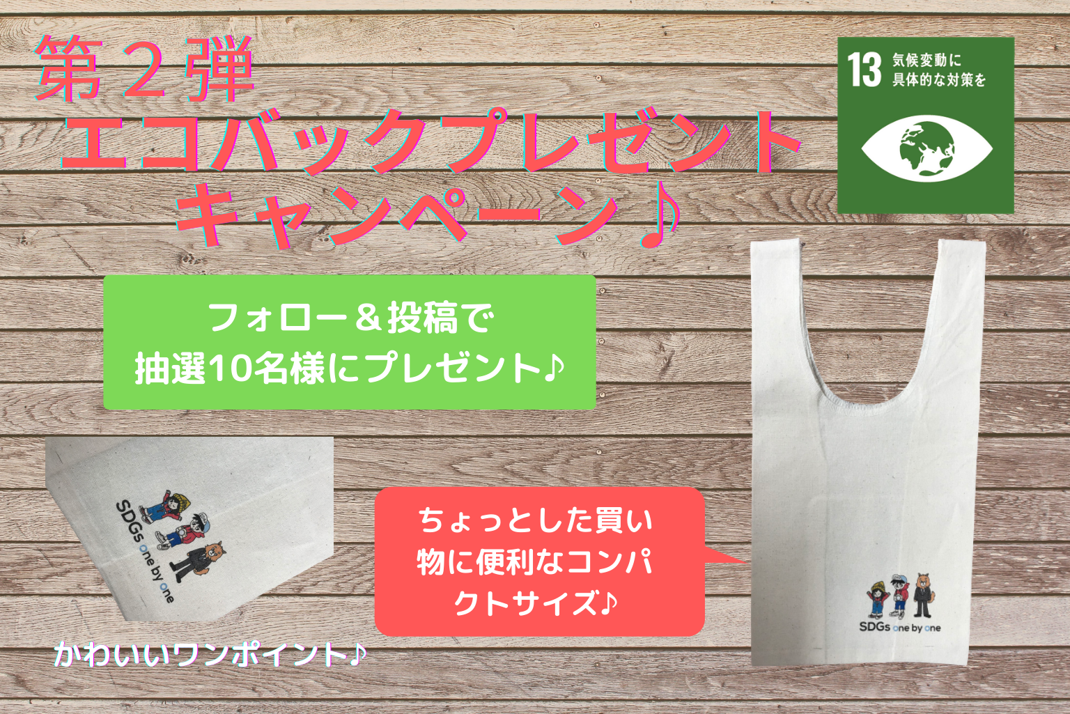 第２弾 エコバック プレゼントキャンペーン みんなの気候変動アクションを教えてね Sdgs One By One Sdgsを楽しく学ぶメディアサイト By 相模原市