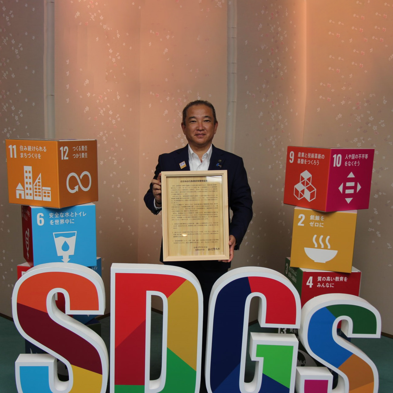 SDGs