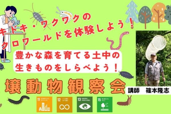 土壌動物観察会を実施します！