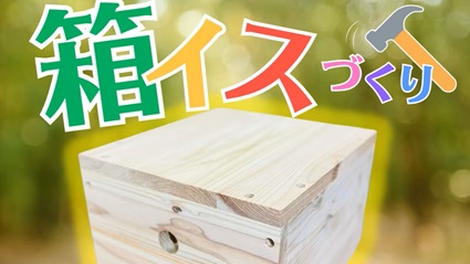 相模原の木で作る楽しさ満点の「木の箱椅子」を作ってみませんか