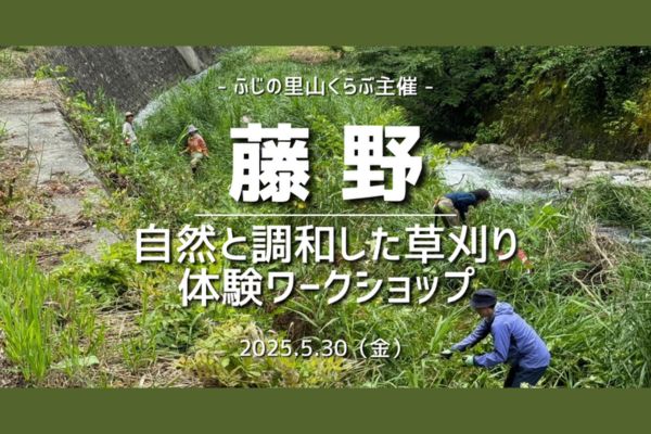 参加費無料｜草刈りが変わる！ 自然と調和した「風を通す草刈り」体験ワークショップ（5/30開催）