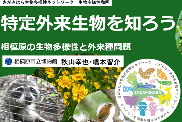 特定外来生物を知ろう　生物多様性動画を公開しました！