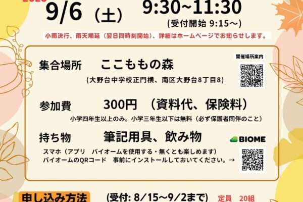 森さんぽ　木もれびの森って？森を探索！