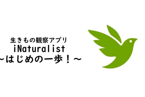 生きもの観察アプリ・iNaturalistの紹介動画