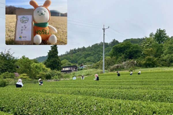 たまぼら　佐野川プロジェクト