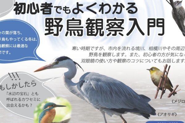 初心者でもよくわかる野鳥観察入門