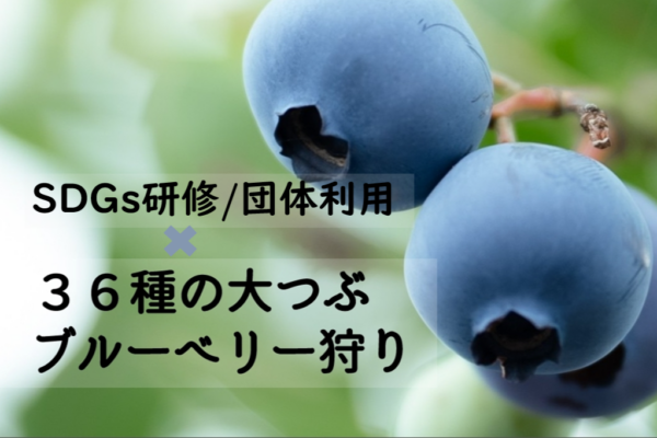 団体向け_楽しみながらSDGs体験_さがみこベリーガーデン