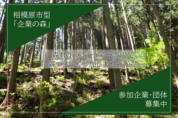 “森林づくり”をサポートする「企業の森」の参加企業等を募集しています！