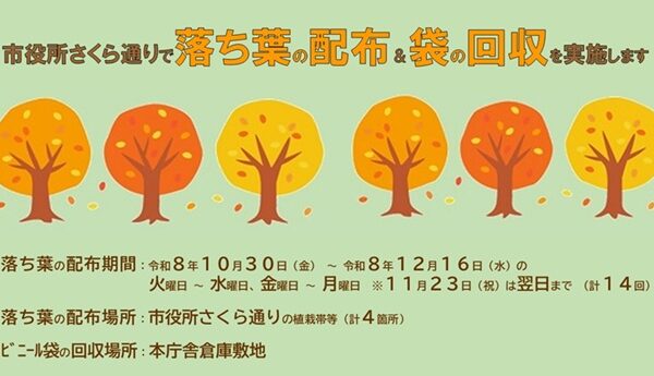 市役所さくら通りで「落ち葉の配布」＆「袋の回収」を実施します